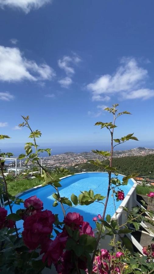 Studio Geek Villa - Open Space - 5M From 5 Top Attractions - Pool All Year Round, Dining Pergola, Barbecue - Funchal Matrix Holiday Home Екстериор снимка